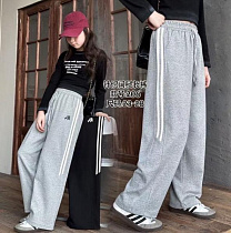 Штаны Спорт Farbique 206 grey - делук