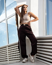 Штаны Спорт Azna БЗ32 brown Штаны Спорт Azna БЗ32 brown - делук
