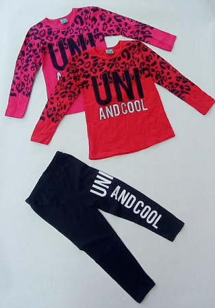 Костюм Meloria ML4213 pink - делук