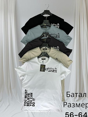 Футболка Hai H1494 l.grey - делук