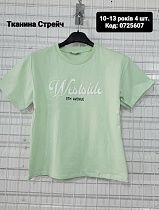 Футболка Amz 0725607 mint - делук