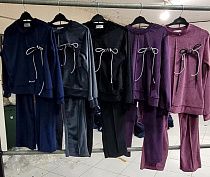 Костюм Спорт Baykush C99 violet - делук