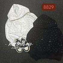 Батник Meloria 8829 white - делук