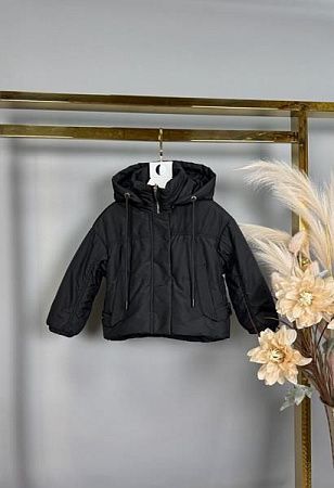 Куртка Delfinka 850 black - делук
