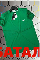 Футболка Alex Clothes 13120 green - делук