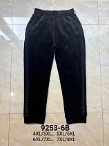 Штаны Спорт Hoan 8253-6B black - делук