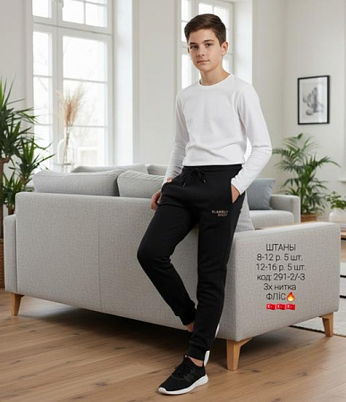 Штаны Спорт Amz 291-2 black-beige - делук