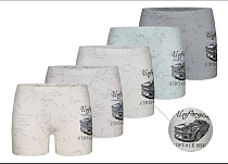 Трусы Disneyopt Kids 7581B3 mix (6-7) Трусы Disneyopt Kids 7581B3 mix (6-7) - делук