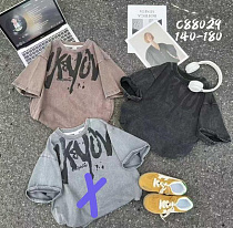 Футболка Sunnytot C88029 l.grey - делук