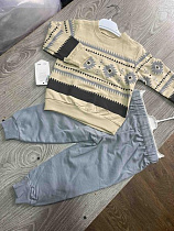 Костюм Спорт Proschenko PR719 grey - делук