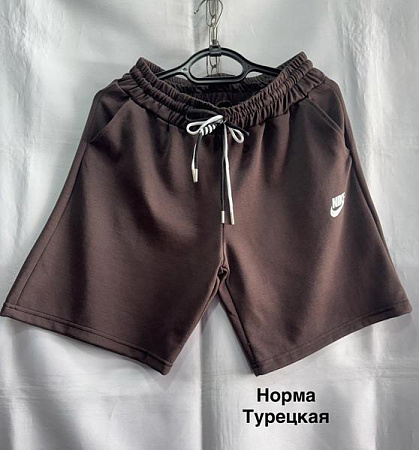 Шорты Minh MH873 brown - делук