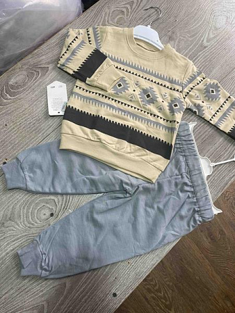 Костюм Спорт Proschenko PR719 grey - делук