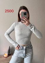 Топ Fsn 2500 grey - делук