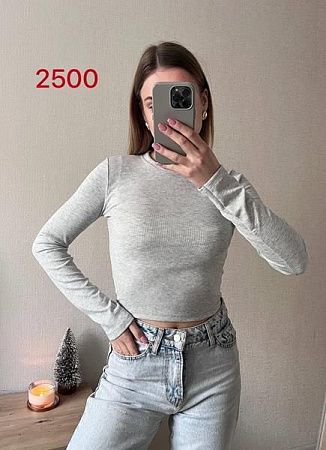 Топ Fsn 2500 grey - делук