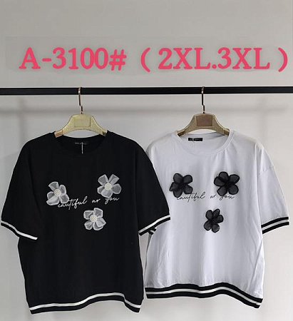 Футболка Saint Wish A3100 mix - делук