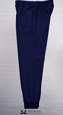 Штаны Спорт Azt AZ298 navy - делук