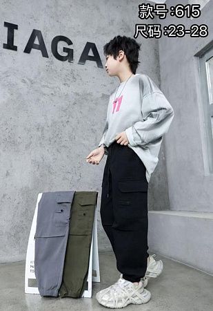 Штаны Farbique 615 grey - делук