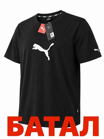 Футболка Alex Clothes 14349 black - делук