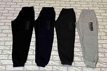 Штаны Спорт Essa E1188 l.grey - делук