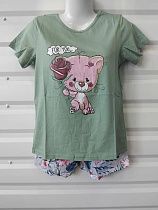 Костюм Dicolor DC5 mint - делук