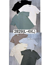 Футболка Ale-Ate 2829 brown - делук