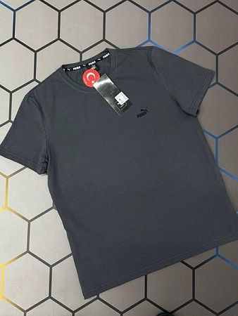 Футболка Alex Clothes 4558 grey - делук
