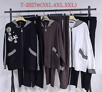 Костюм Спорт Saint Wish T2027 brown - делук