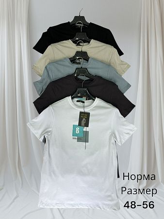 Футболка Hai H148 black - делук