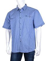 Рубашка Logaster A517-1 blue - делук