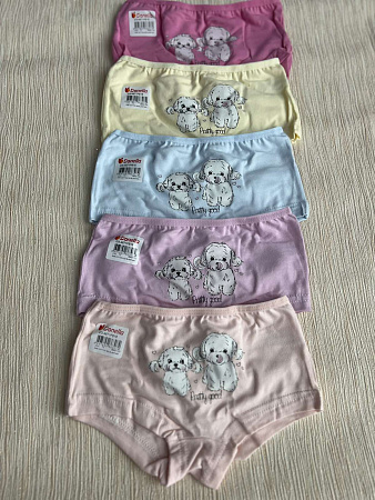 Трусы Disneyopt Kids 4671PB16 mix (2-3) - делук