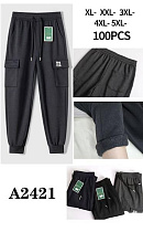 Штаны Спорт Giang A2412-1 grey - делук