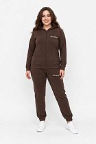 Костюм Спорт Sport Style 111-1023-3 brown - делук