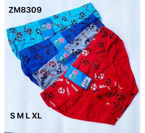 Трусы Redoor ZM8309 mix - делук