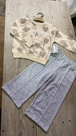 Костюм Спорт Proschenko PR698 beige - делук