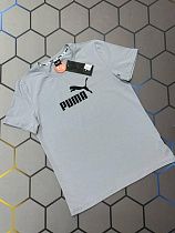 Футболка Alex Clothes 4506 l.grey - делук