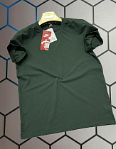 Футболка Alex Clothes 13317 green - делук