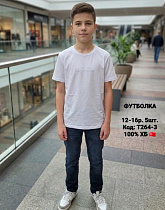 Футболка Ibambino T264-3 white - делук