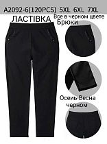 Штаны Redoor A2092-6 black - делук