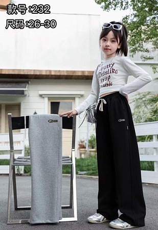 Штаны Спорт Farbique 232 grey - делук