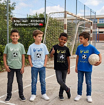 Футболка Amz 2254152 mint - делук