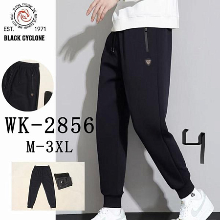 Штаны Спорт Hoan 2856 navy - делук