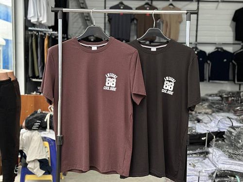 Футболка Anis A128 brown - делук