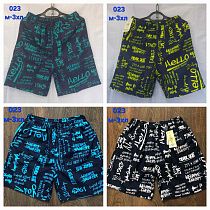 Шорты Hoan 023 navy-green - делук