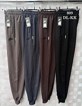 Штаны Спорт Shon S2461 black - делук