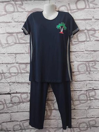 Костюм Dicolor DC45 navy - делук