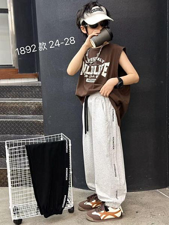 Штаны Спорт Фунтик 1892 black - делук