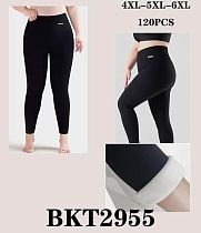 Лосины Hoan 2955 black - делук