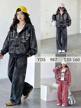 Костюм Спорт Delfinka 987 grey - делук