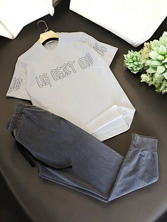 Штаны Спорт Moranny MR1198 grey - делук