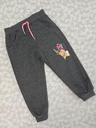 Штаны Спорт Malibu2 1002 grey - делук